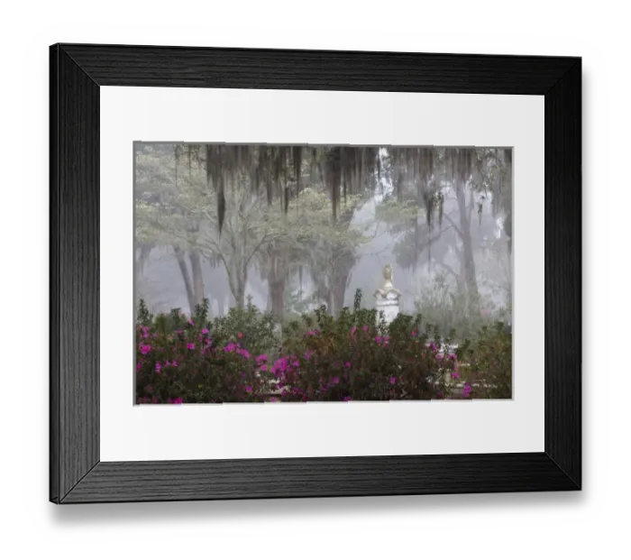 Framed Print : Bonaventure Cemetery, Savannah, Georgia, USA Framed Print : Bonaventure Cemetery, Savannah, Georgia, USA