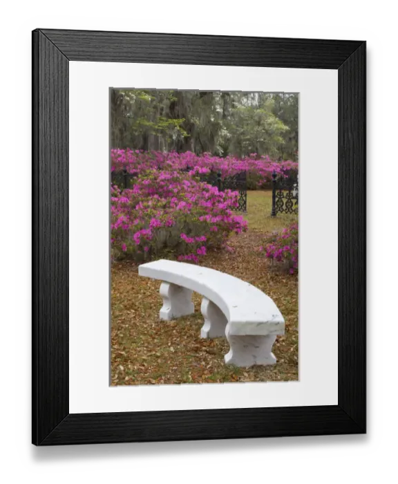 Framed Print : USA; Georgia; Savannah; Spring at Historic Bonaventure Cemetery Framed Print : USA; Georgia; Savannah; Spring at Historic Bonaventure Cemetery