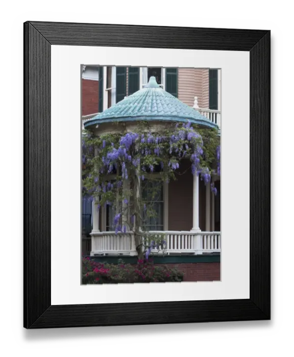 Framed Print : USA, North America, Georgia, Savannah. Wisteria blooming on a Victorian home Framed Print : USA, North America, Georgia, Savannah. Wisteria blooming on a Victorian home