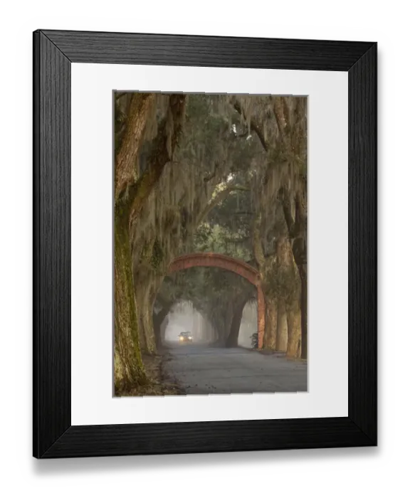 Framed Print : USA; North America; Georgia; Savannah. The entrance to Bethesda in early morning light