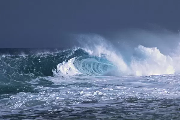 North America, Hawaii, Oahu. A beautiful wave on the north shore of Oahu