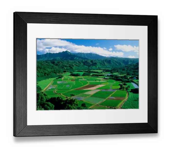 Framed Print : Agriculture in Hanalei Valley Kauai, Hawaii. hawaii, south pacific, island