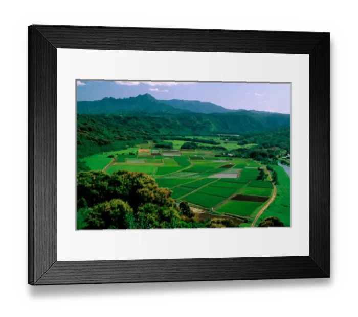 Framed Print : USA, Hawaii, Kauai. Agriculture in Hanalei Valley