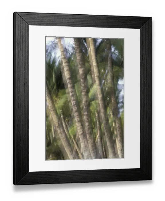 Framed Print : USA, Hawaii, Maui, Maui, Kihei Palm tree trunks Framed Print : USA, Hawaii, Maui, Maui, Kihei Palm tree trunks