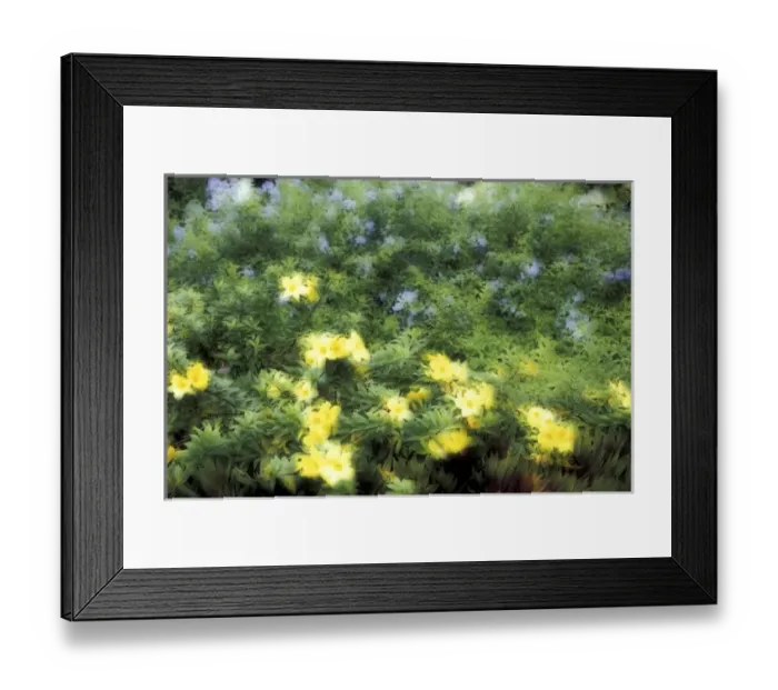Framed Print : USA, Hawaii, Maui Soft focus on blues and yellows Framed Print : USA, Hawaii, Maui Soft focus on blues and yellows