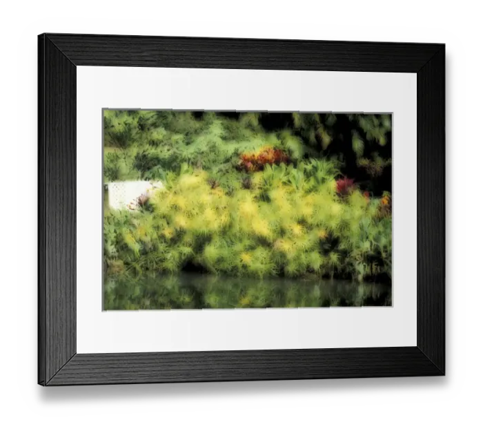 Framed Print : USA, Hawaii, Maui Tropical garden, soft focus Framed Print : USA, Hawaii, Maui Tropical garden, soft focus