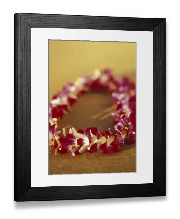 Framed Print : USA, Hawaii, Maui, Kihei Beach Vanda Miss Joaquim Orchid lei on beach Framed Print : USA, Hawaii, Maui, Kihei Beach Vanda Miss Joaquim Orchid lei on beach