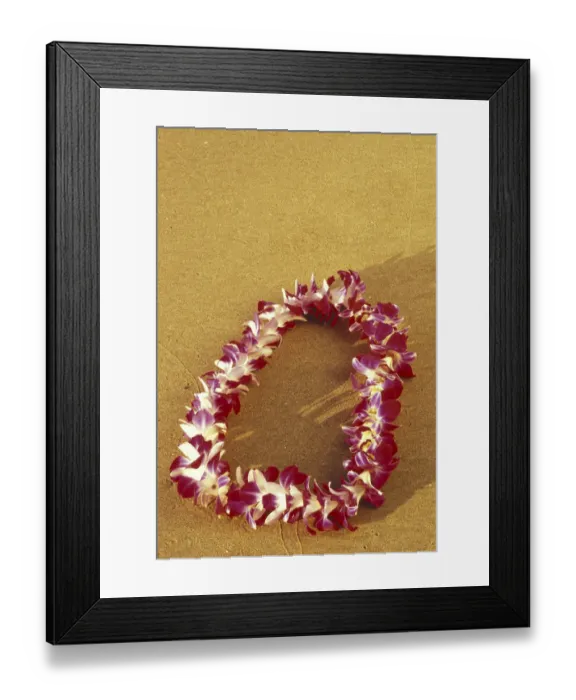 Framed Print : USA, Hawaii, Maui, Kihei Beach Vanda Miss Joaquim Orchid lei on beach Framed Print : USA, Hawaii, Maui, Kihei Beach Vanda Miss Joaquim Orchid lei on beach
