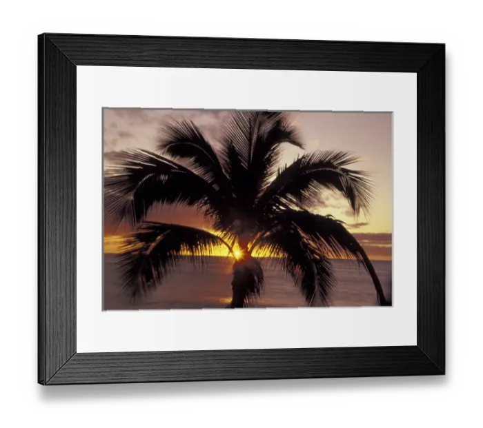 Framed Print : USA, Hawaii, Maui, Kihei Beach Silhouetted palm at sunset Framed Print : USA, Hawaii, Maui, Kihei Beach Silhouetted palm at sunset