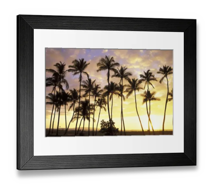 Framed Print : USA, Hawaii, Maui, Kamaole Park 1 Silhouetted palms at sunset Framed Print : USA, Hawaii, Maui, Kamaole Park 1 Silhouetted palms at sunset