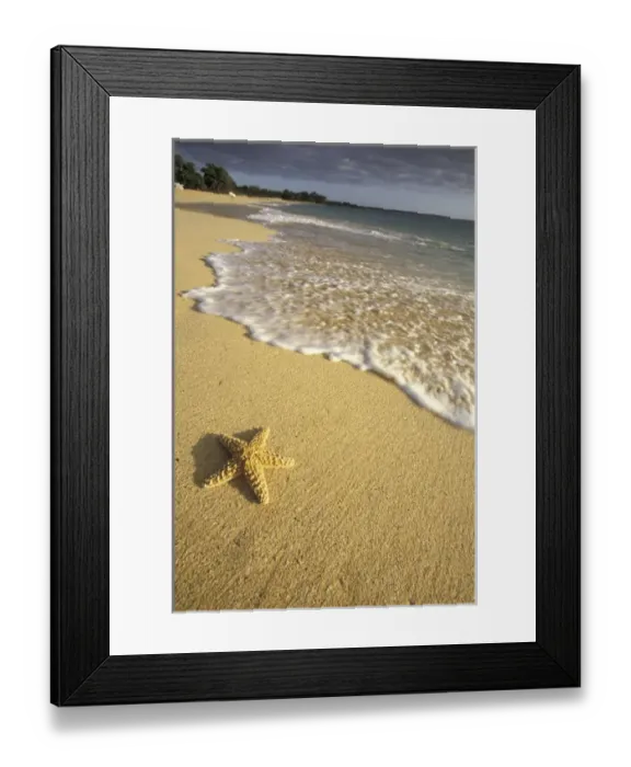Framed Print : USA, Hawaii, Maui, Makena Beach Starfish and surf Framed Print : USA, Hawaii, Maui, Makena Beach Starfish and surf