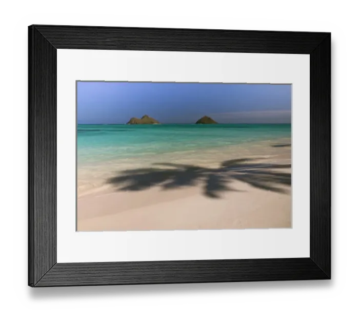 Framed Print : North America, USA, Hawaii, Oahu. Shadow of a palm tree on the sand at Waimanalo Framed Print : North America, USA, Hawaii, Oahu. Shadow of a palm tree on the sand at Waimanalo