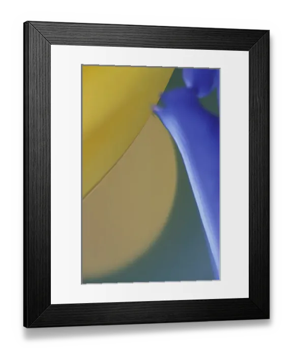 Framed Print : N. A. USA, Hawaii, Maui, Hana Bird of Paradise flower closeup Framed Print : N. A. USA, Hawaii, Maui, Hana Bird of Paradise flower closeup