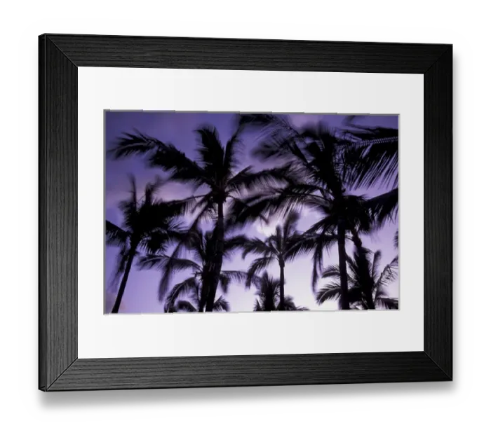 Framed Print : N. A. USA, Hawaii, Big Island Palms moving with wind at dusk Framed Print : N. A. USA, Hawaii, Big Island Palms moving with wind at dusk