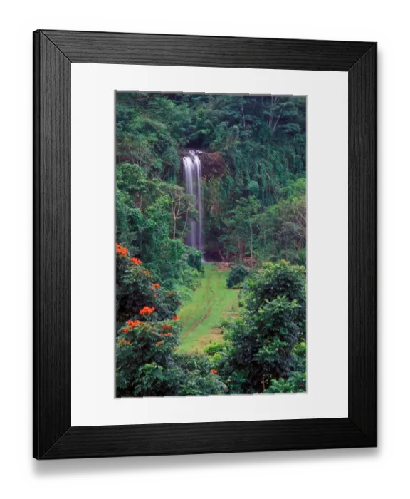 Framed Print : USA, Hawaii, Kauai Island, Beautiful waterfall in the lush wildlands Framed Print : USA, Hawaii, Kauai Island, Beautiful waterfall in the lush wildlands