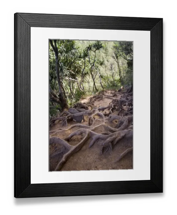 Framed Print : Kauai, Hawaii. The Kalalau Trail on the North Shore, is Kauais best known Framed Print : Kauai, Hawaii. The Kalalau Trail on the North Shore, is Kauais best known