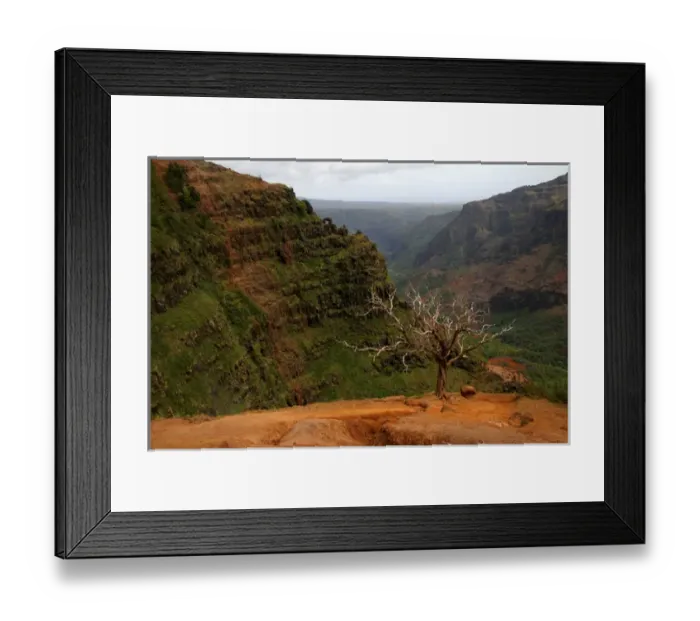 Framed Print : Kauai, Hawaii. Some amazing hiking through Waimea Canyon. Waimea canyon is the largest