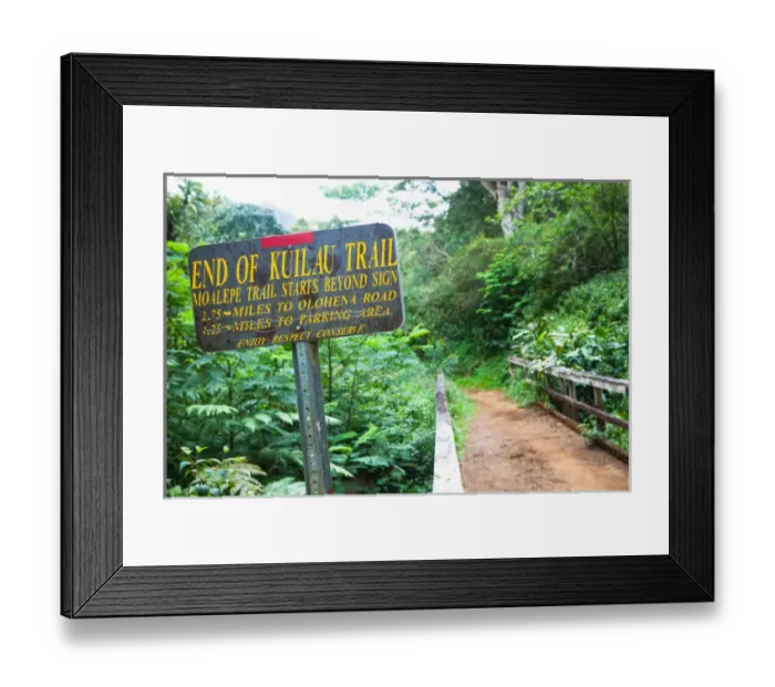 Framed Print : Hawaii, USA. The Kuilau and Moalepe trail begin near Wailuas Keahua Arboretum