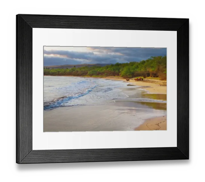 Framed Print : Hawaii, USA. Images along the open coastal region of Waimea and the western side of Kauai Framed Print : Hawaii, USA. Images along the open coastal region of Waimea and the western side of Kauai