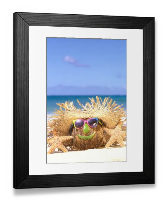 Framed Print : USA, Hawaiian Islands. Coconut with straw hat and shades smiling beachside
