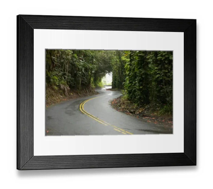 Framed Print : USA, Island of Hawaii, winding roads through rainforest Framed Print : USA, Island of Hawaii, winding roads through rainforest