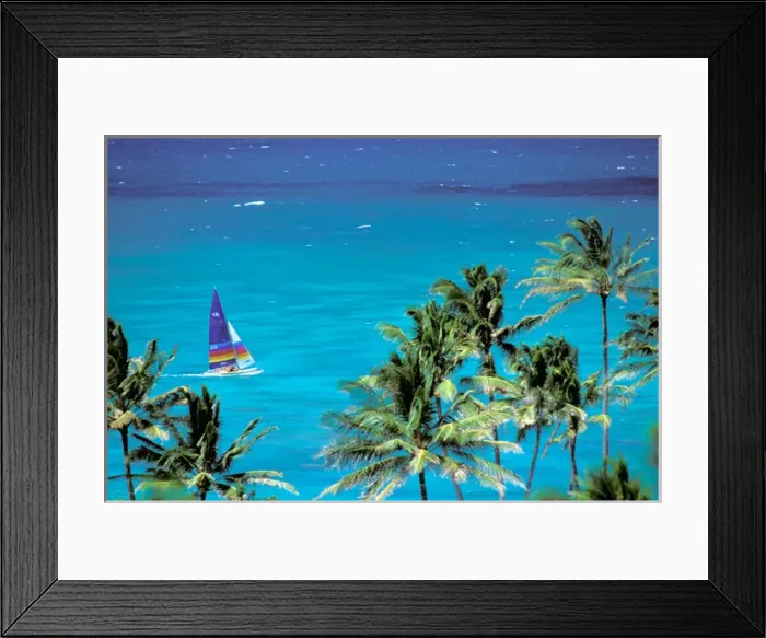 Framed Print : USA, Hawaiian Islands. Palm trees and sailboat Framed Print : USA, Hawaiian Islands. Palm trees and sailboat