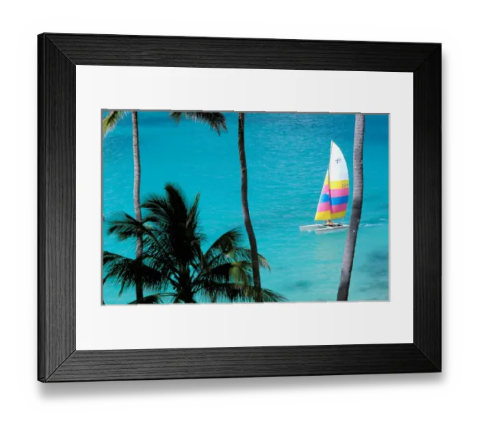 Framed Print : USA, Hawaiian Islands. Palm trees and catamaran Framed Print : USA, Hawaiian Islands. Palm trees and catamaran