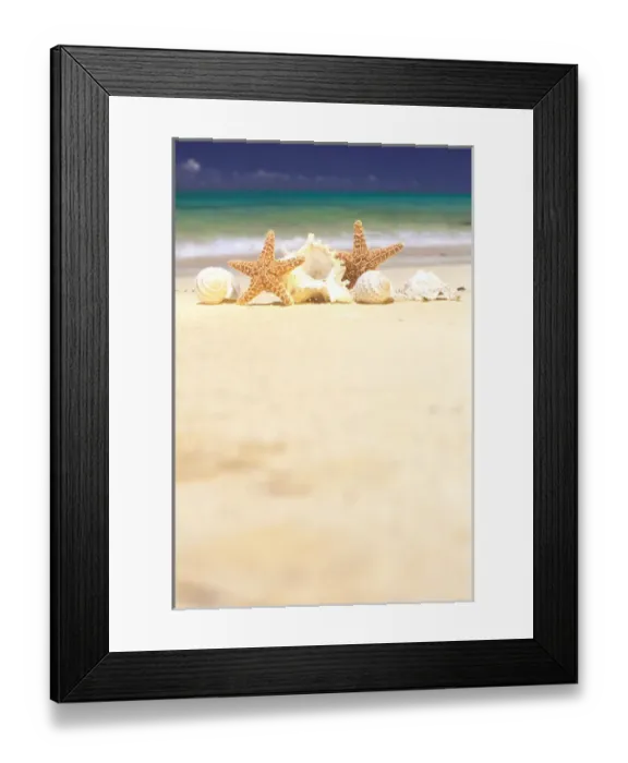 Framed Print : USA, Hawaiian Islands. Sea shells and starfish