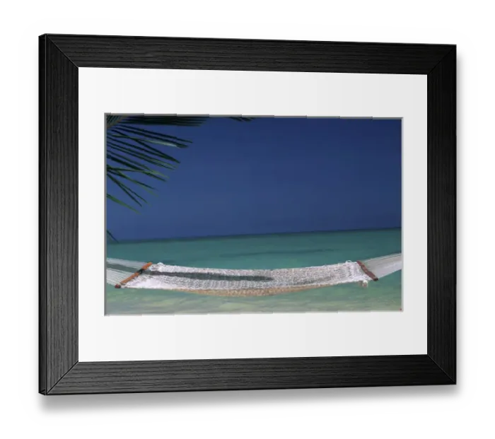 Framed Print : North America, USA, Hawaii. Empty hammock on tropical beach Framed Print : North America, USA, Hawaii. Empty hammock on tropical beach