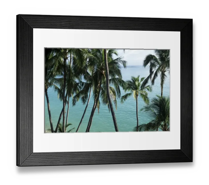 Framed Print : North America, USA, Hawaii. Palm trees and ocean view Framed Print : North America, USA, Hawaii. Palm trees and ocean view