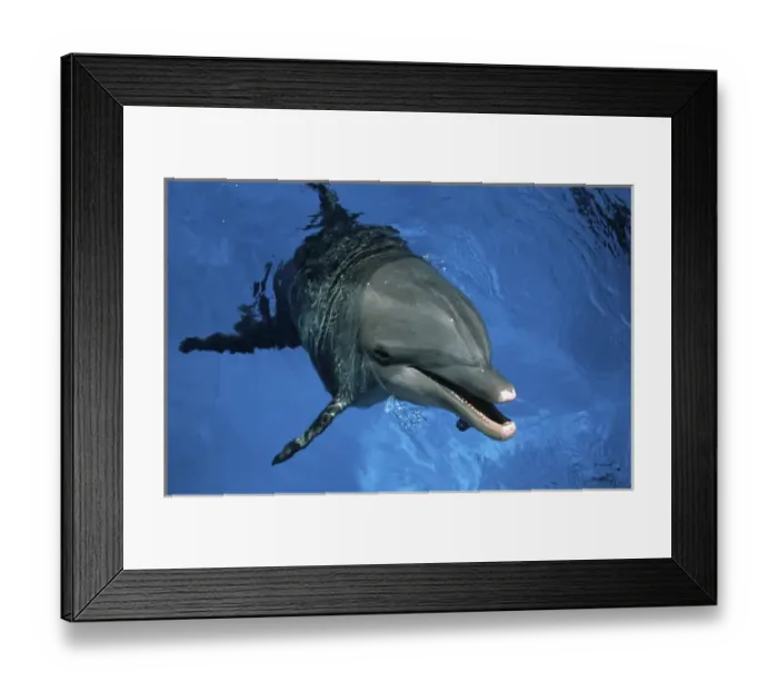 Framed Print : North America, USA, Hawaii Framed Print : North America, USA, Hawaii