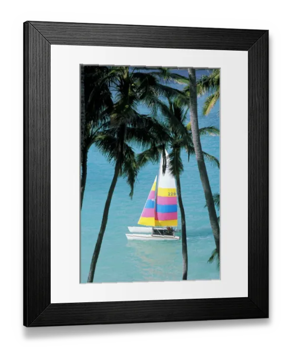 Framed Print : USA, Hawaii. Catamaran and palm trees