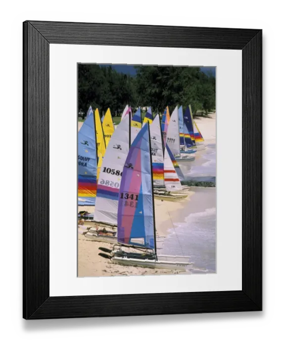 Framed Print : USA, Hawaii. Catamarans on beach