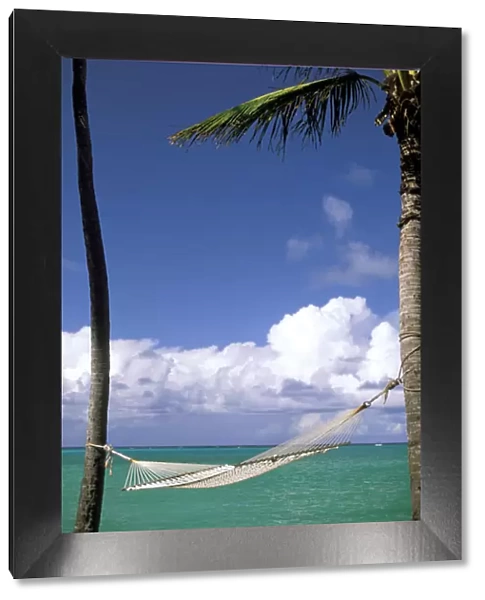 USA, Hawaii. Hammock and palms next to the sea
