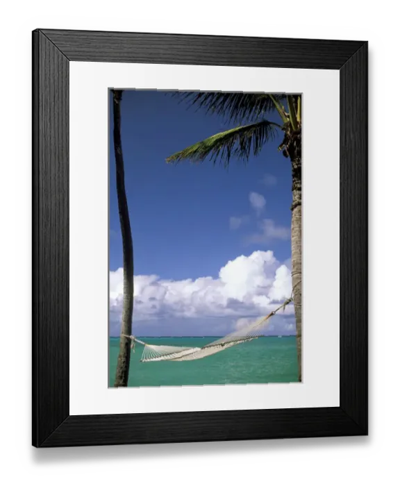 Framed Print : USA, Hawaii. Hammock and palms next to the sea Framed Print : USA, Hawaii. Hammock and palms next to the sea