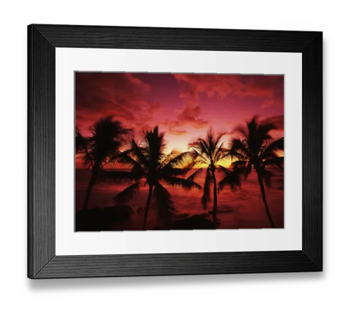 Framed Print : USA, Hawaii Islands, Kona, View of palm trees on beach at big island Framed Print : USA, Hawaii Islands, Kona, View of palm trees on beach at big island