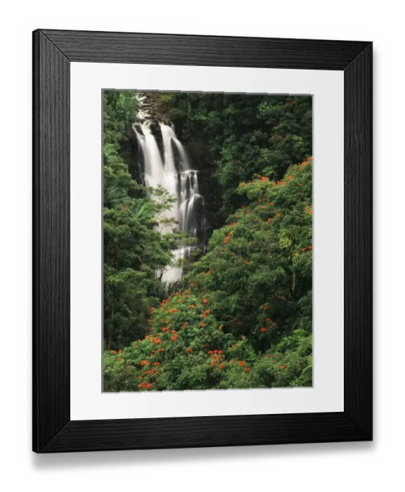 Framed Print : USA, Hawaii Islands, View of Nanue falls with lush Alexandra Palms and African Tulip Framed Print : USA, Hawaii Islands, View of Nanue falls with lush Alexandra Palms and African Tulip