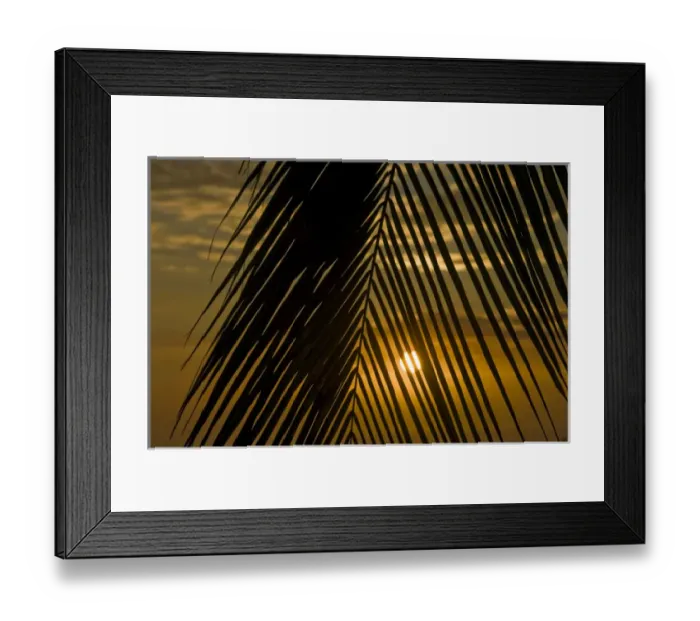 Framed Print : USA, Hawaii. Sunset over the Pacific Ocean seen through the leaves of a palm tree Framed Print : USA, Hawaii. Sunset over the Pacific Ocean seen through the leaves of a palm tree