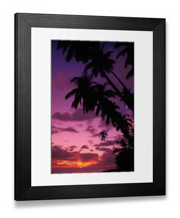 Framed Print : Hawaii Palm trees at sunset