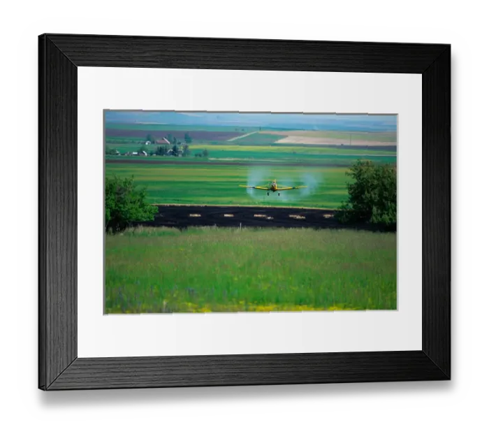 Framed Print : Cropduster spraying a field near Grangeville, Idaho. cropdusting, cropduster Framed Print : Cropduster spraying a field near Grangeville, Idaho. cropdusting, cropduster