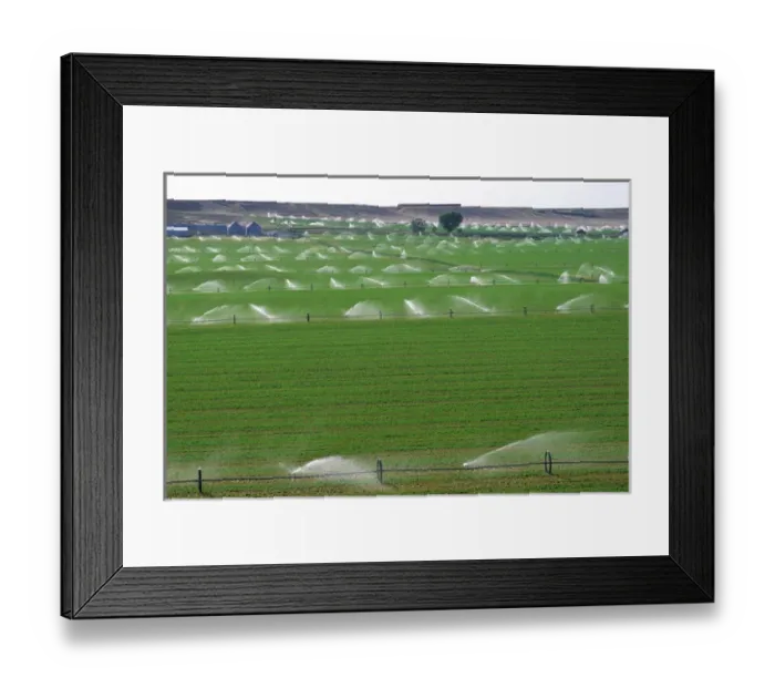 Framed Print : Wheeled sprinkler irrigation in Grandview, Idaho. agriculture, crop, ranch Framed Print : Wheeled sprinkler irrigation in Grandview, Idaho. agriculture, crop, ranch