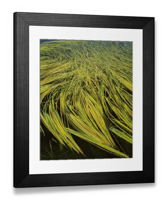 Framed Print : USA, Idaho, Big Roaring River Lake, Boise National Forest Framed Print : USA, Idaho, Big Roaring River Lake, Boise National Forest