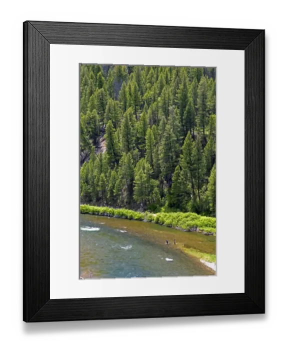 Framed Print : Fly fishing on the Salmon River between the towns of Sunbeam and Stanley, Idaho Framed Print : Fly fishing on the Salmon River between the towns of Sunbeam and Stanley, Idaho