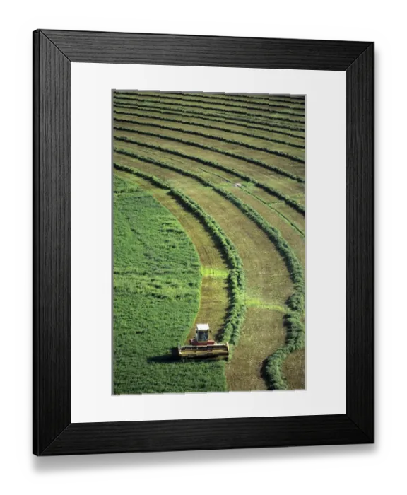Framed Print : Aerial view of a hay harvest in Grandview, Idaho Framed Print : Aerial view of a hay harvest in Grandview, Idaho