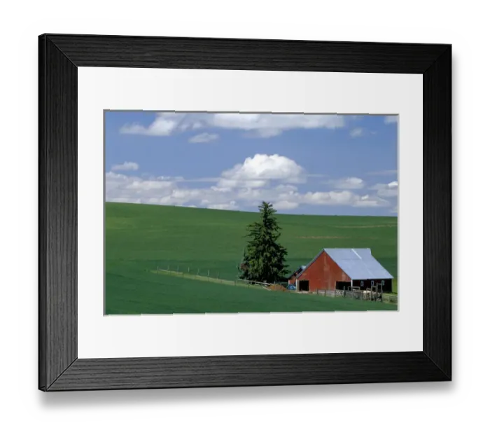 Framed Print : N. A. USA, Idaho, Latah county near Genesee. Farm in wheatfield in summer. PR Framed Print : N. A. USA, Idaho, Latah county near Genesee. Farm in wheatfield in summer. PR