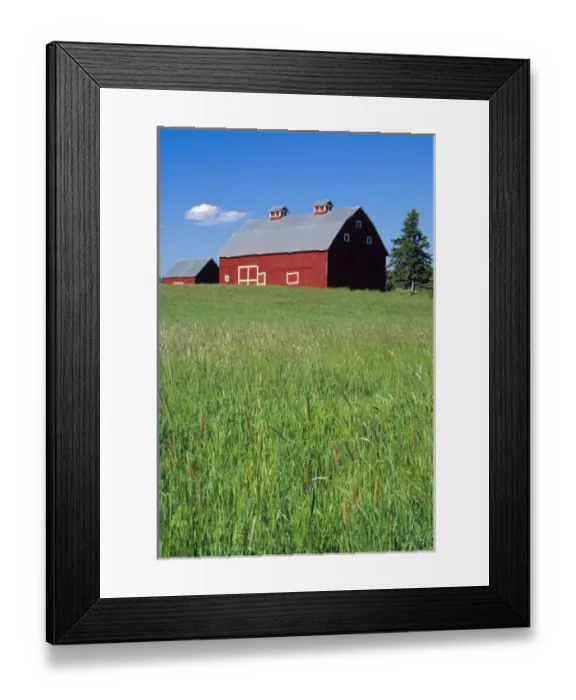 Framed Print : N. A. USA, Idaho, Latah County. Red barn near Potlatch. PR Framed Print : N. A. USA, Idaho, Latah County. Red barn near Potlatch. PR
