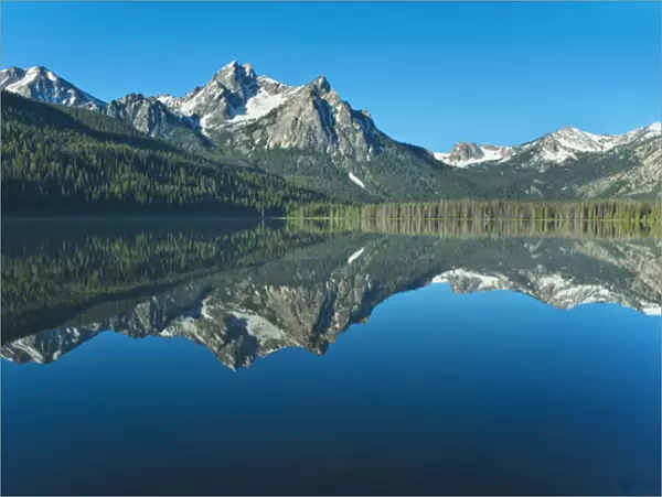 USA, ID, Sawtooth Mts. NRA, Mt. McGowan Reflected in Stanley Lake