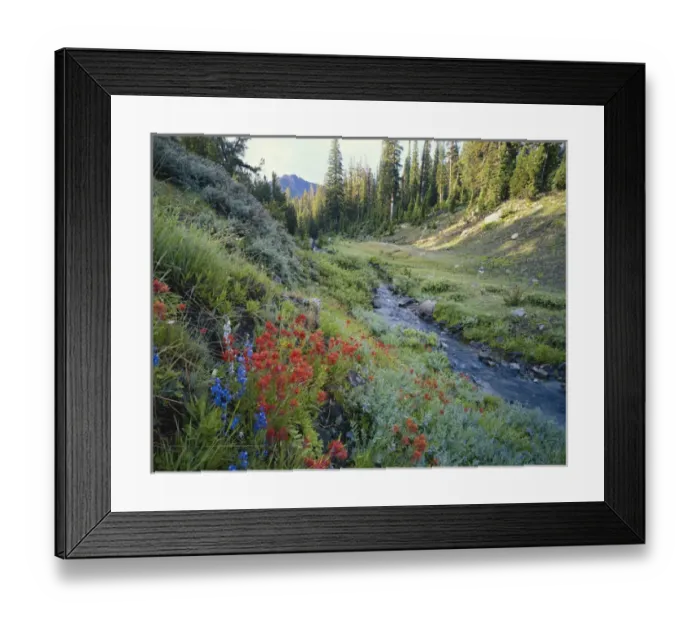 Framed Print : USA, Idaho, Sawtooth National Forest, White Cloud Peaks, Sawtooth National Reservation Area