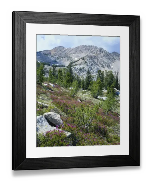 Framed Print : USA, Idaho, Sawtooth National Recreation Area, Challis National Forest, White Cloud Peaks Framed Print : USA, Idaho, Sawtooth National Recreation Area, Challis National Forest, White Cloud Peaks
