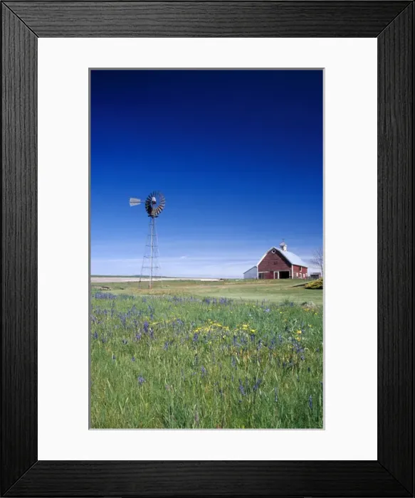 Framed Print : Na, USA, ID, Grangeville, Old Red Barn with Spring Wildflowers